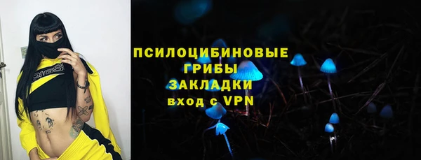 Альфа ПВП Алзамай
