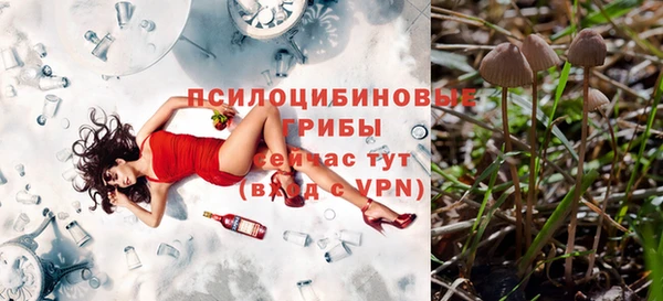 экстази Алексеевка