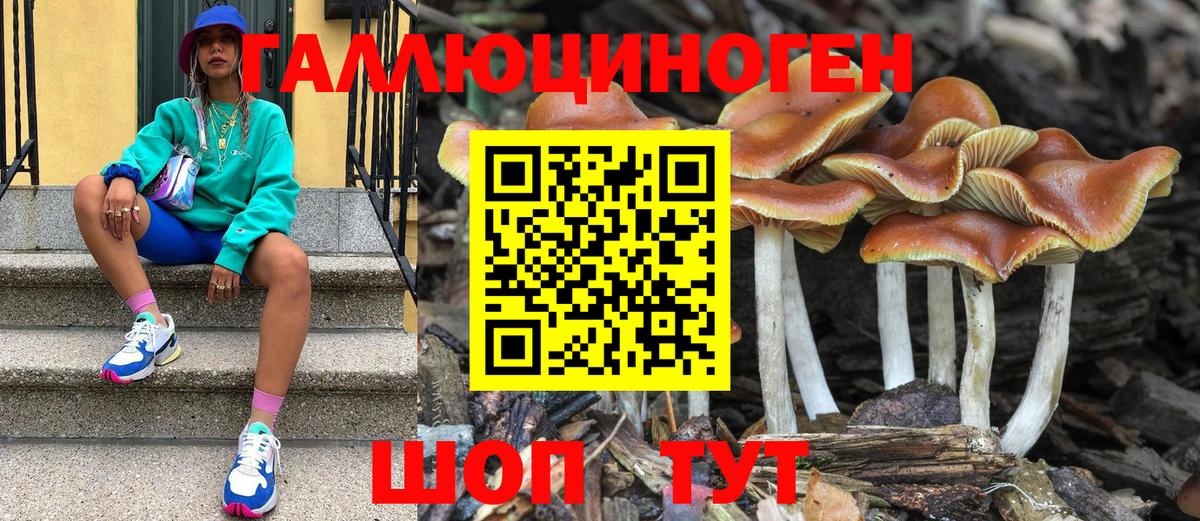 Псилоцибиновые грибы мухоморы Сургут