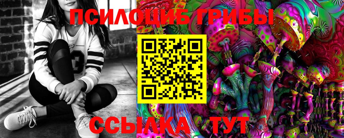 Галлюциногенные грибы Cubensis  Вход с VPN  Сургут 
