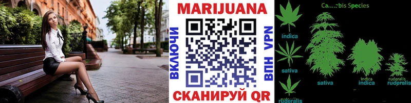 купить  сайты  Сургут  Бошки марихуана Ganja 